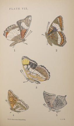 A Manual of North American Butterflies