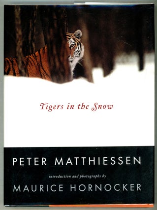 Item #000011214 Tigers in the Snow. Peter Matthiessen