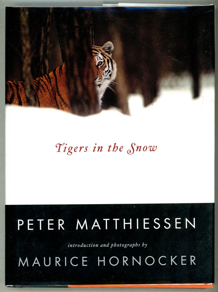 Item #000011214 Tigers in the Snow. Peter Matthiessen.