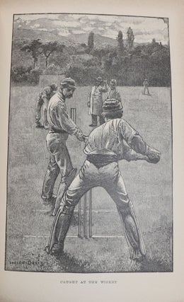 Cricket