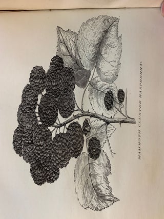 Transactions of the Wisconsin State Agricultural Society, with Tabular Abstracts of the Reports of County Agricultural Societies and Numerous Practical Papers and Communications; Volume X, 1871