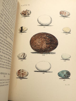 Eggs of North American Birds