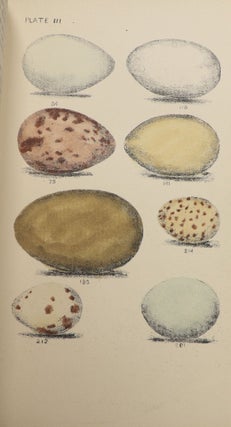 Eggs of North American Birds