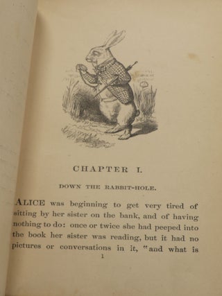 Alice in Wonderland