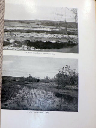 Researches in Sinai