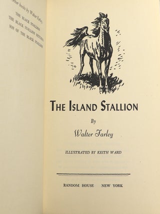 The Island Stallion