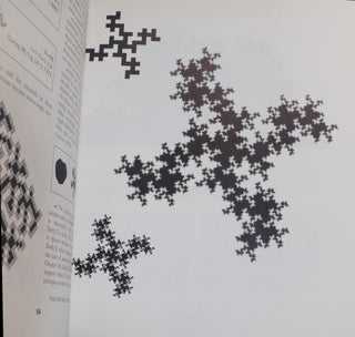 The Fractal Geometry of Nature