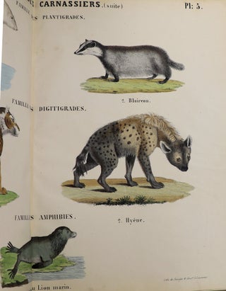 Album d'Histoire Naturelle ou Musée des Colléges des Écoles et des Familles