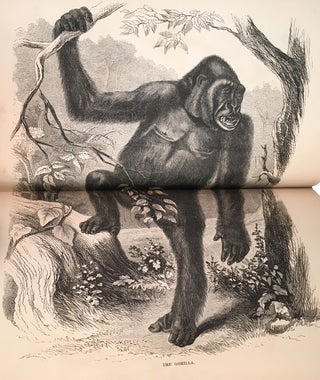 Explorations and Adventures in Equatorial Africa; With Accounts of the Manners and Customs of the People, And of the Chase of the Gorilla, The Crocodile, Leopard, Elephant, Hippopotamus, and Other Animals