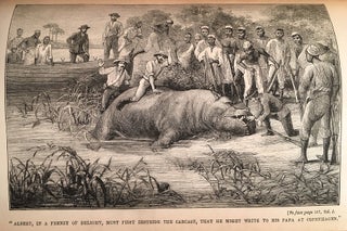 The Congo and the Founding of its Free State: A Story of Work and Exploration