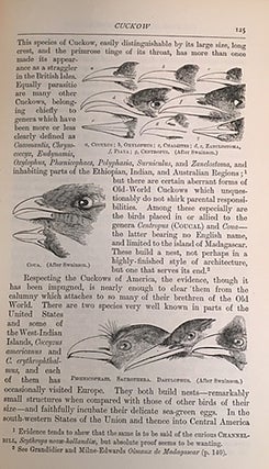 A Dictionary of Birds