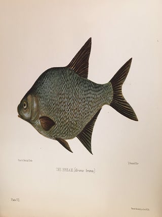 British Fresh-Water Fishes