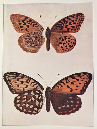 Every-Day Butterflies; A Group of Biographies