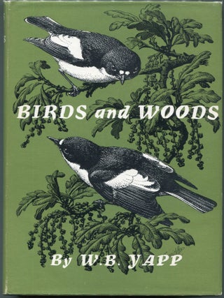 Item #00008596 Birds and Woods. W. B Yapp