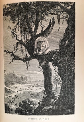 The Eastern Archipelago; A Description of the Scenery, Animal and Vegetable Life, People, and Physical Wonders of the Islands in the Eastern Seas